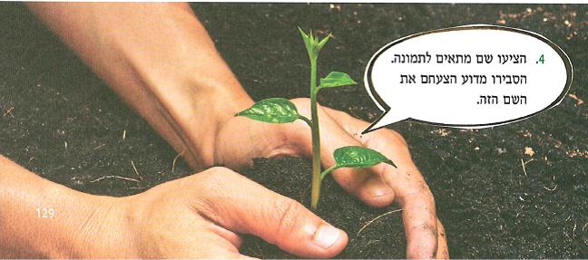 (בספר איור של:)